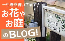 �l�C�`���[�K�[�f���u���O