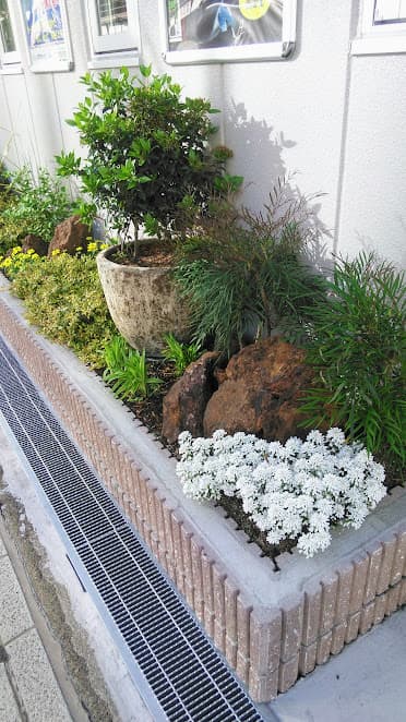 鉢植えと石材を配置した花壇