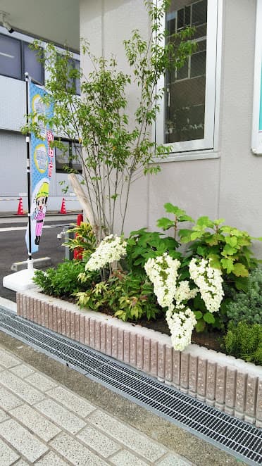 ハイノキと変化のある花壇の仕上がり